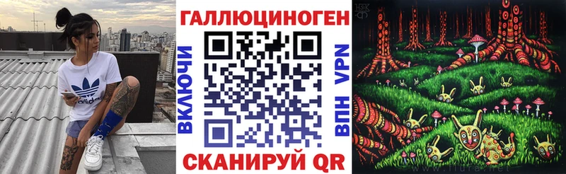 цены Дмитров Псилоцибиновые грибы Psilocybe